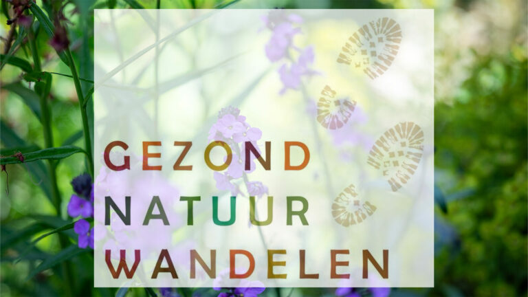 Gezond Natuur Wandelen