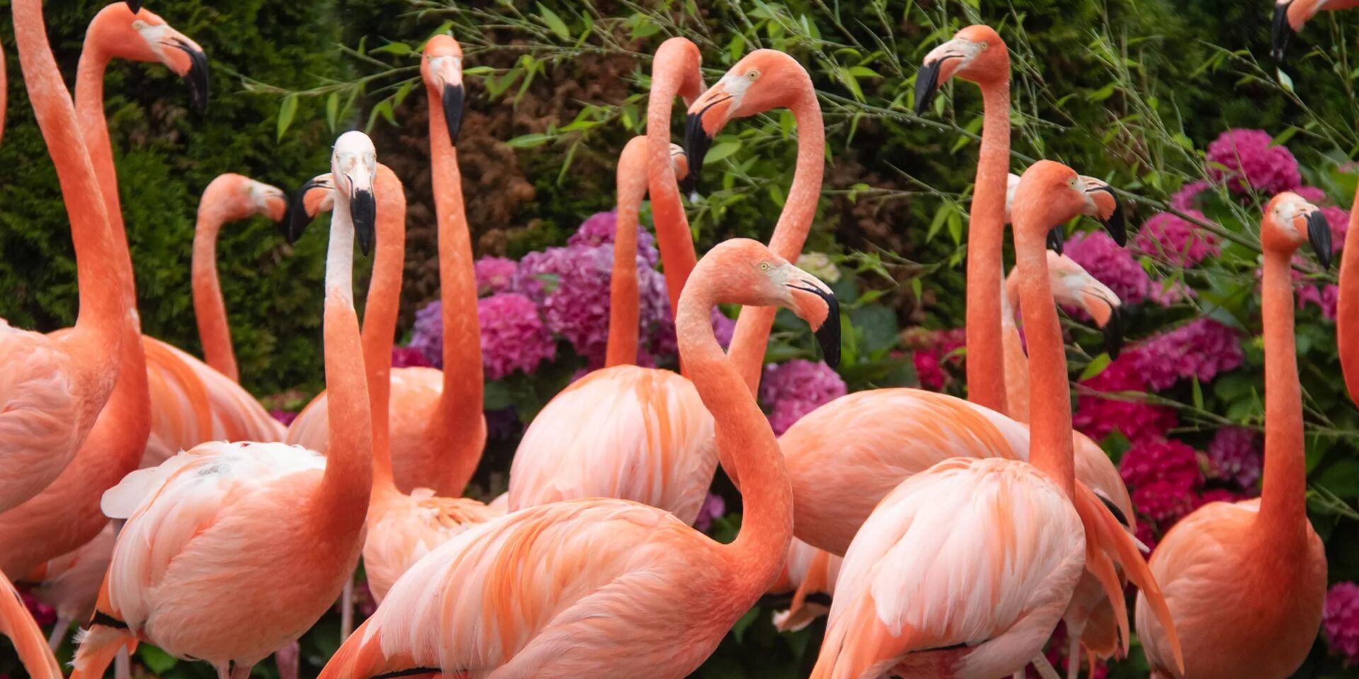 Dagtocht naar Pantropica